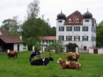 Schloss Elmischwang